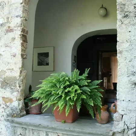 Rosacanina