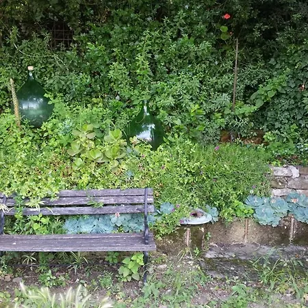 Panzió Rosacanina 4*